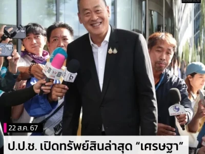 前总理赛塔，身价公开