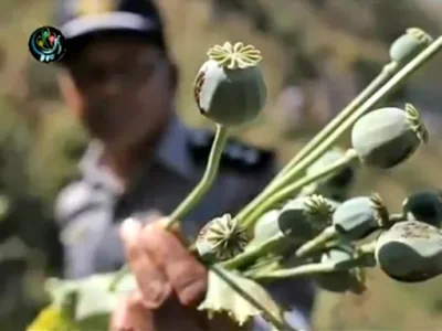缅甸又上这个名单！民众：我麻了