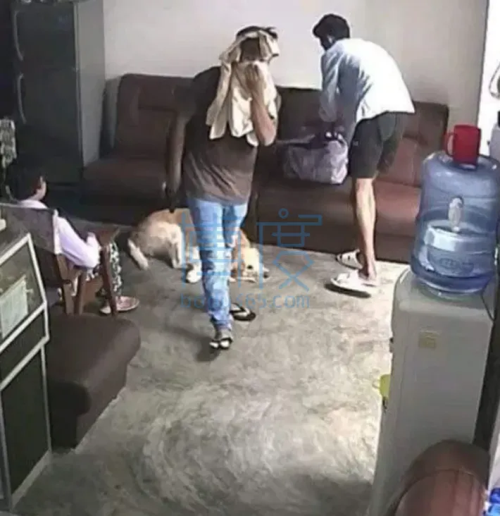 QQ截图20240929181212.png