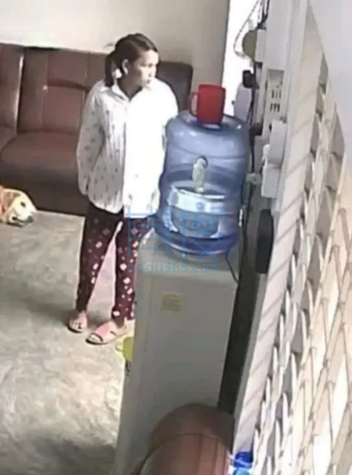 QQ截图20240929181229.png