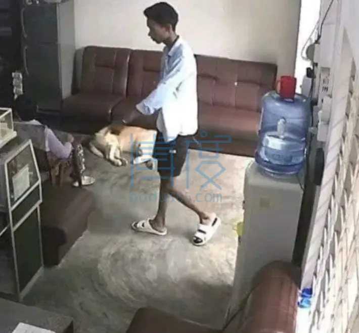 QQ截图20240929181219.png