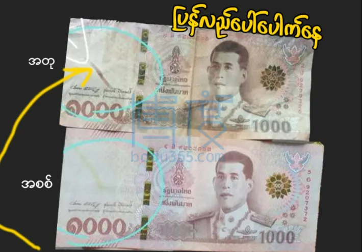 QQ截图20240930161929.png