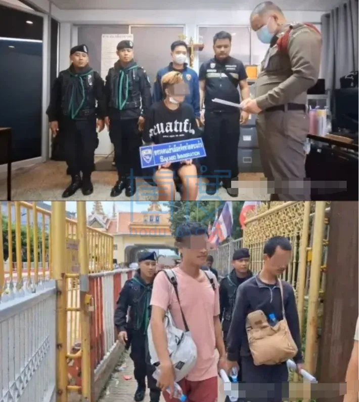 QQ截图20241006182242.png