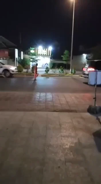 柬女子穿行马路被中国司机撞倒（视频）
