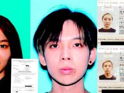 惊爆！华人留学生洗钱1300万！杀猪盘骗局竟藏身洛杉矶市中心？