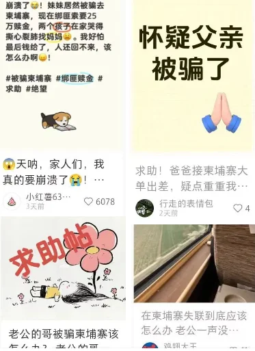 小红书柬埔寨词条“救人帖”充斥！