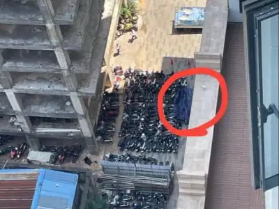 刚刚西港南海有人跳楼