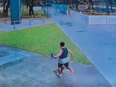 中国人脚踢流浪猫被全网通缉