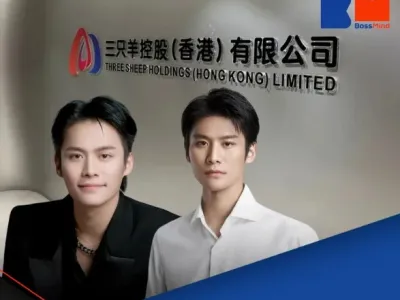 合肥通报“三只羊公司”整改情况，罚没 6894.95万，整改符合要求，具备恢复经营条件
