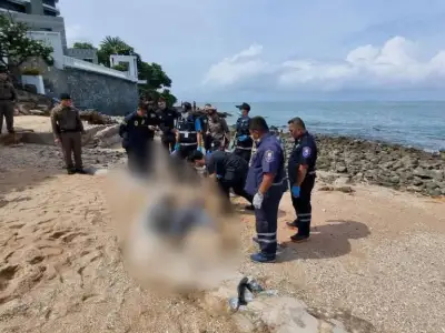 鼻孔流血！中国男子在芭提雅海滩神秘死亡！