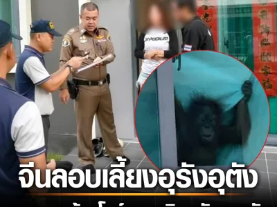 中国人在泰国豪宅养猩猩，警方包围搜查！