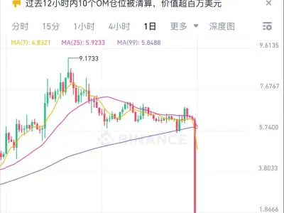 黑天鹅事件 OM币24小时暴跌90%，市值一夜蒸发50亿美元！