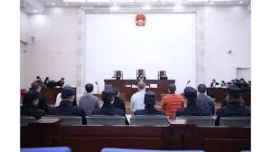 参与缅甸御龙湾电诈团伙，广东男子钟某在沪获刑