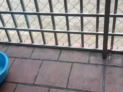 网友求助：我是中国人，来到这里已经34天，现在身上皮肤开始溃烂，回国遥遥无期