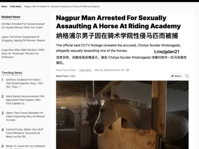 印度一男子因性侵马匹被捕