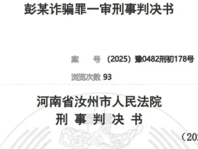 在迪拜给“盘总”当了十几天助理？回国被判了6个月？