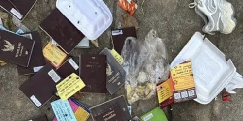 波贝边境护照“成堆”，灰产血泪账曝光！
