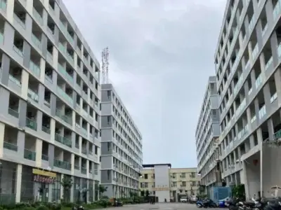 西港中国城一台湾男子头部受重创后死亡！