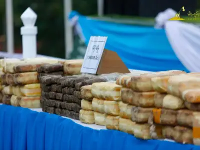 缅甸大规模公开销毁毒品