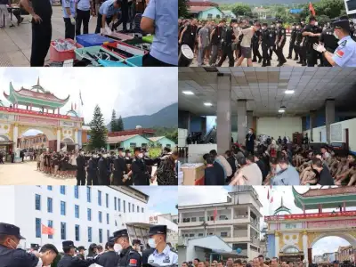 关于昨天缅甸果敢同盟军移交451名中国籍电诈人员这事…