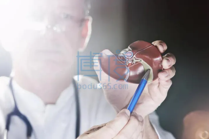 【値下可】台湾 発 猪頭皮 我家是〓人院 台湾人不是被〓大的！？ 値下可】台湾 発 猪頭皮 我家是〓人院 台湾人不是被