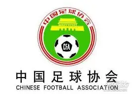 中国足协关于2020赛季国内足球赛事延期开始的公告