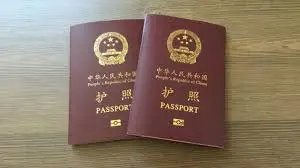 护照被国内拉黑担心回国问题的请来看看