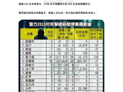 大数据：2019年马来西亚警方抓中国籍“菜农” 2758人，大多数“菜农”轻判