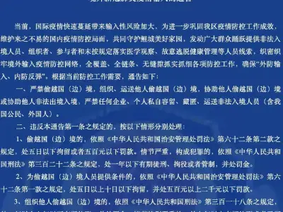 现在机票太贵买不起，都改偷渡了吗？