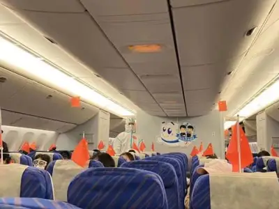 关于五月份是否可以回国，主要看以下几点
