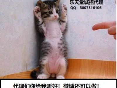 微博引流还能做吗？代理们！这里为你统计好了！