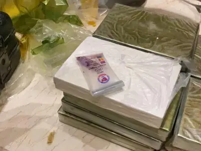 金边：车子藏毒拒检查闯关逃跑， 警方逮捕一中籍男子