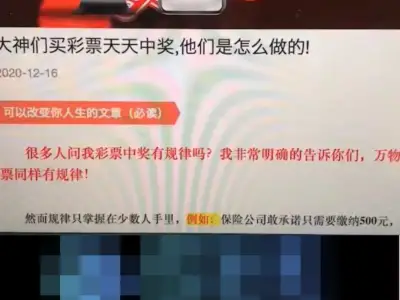老父亲深陷西港杀猪盘 贷款25万被骗