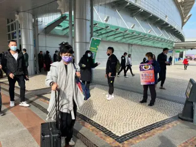 11月访澳客量按月增约一成 大湾区九市旅客逾32万珠海占近半
