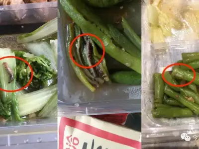 入境柬埔寨花费万元隔离 吃的比牢饭还差
