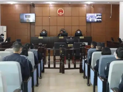 勐腊法院公开审理一起偷越国境案件，并邀请磨憨边防民警旁听