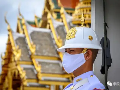泰旅体部：不出意外的话，下半年外籍游客就能回来旅游啦……
