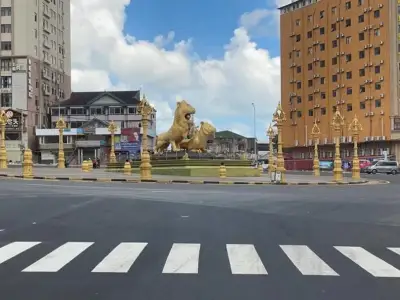 在柬同胞：居家隔离20天后，接到母亲的视频我哭了