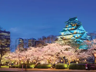 日本赌场法规草案列出九种允许进行的赌博游戏