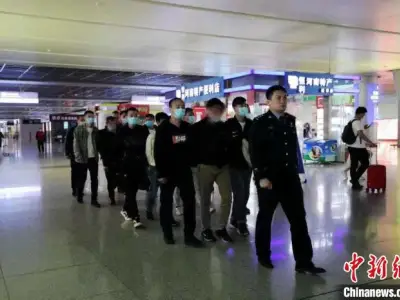 山西晋城警方破获省督电诈案 嫌疑人称诈骗为“养猪”“杀猪”