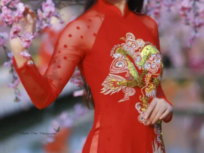 一中国大姐花十几万人民币为2个儿子娶越南新娘，婚后不久俩儿媳妇一起失踪了！