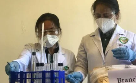 菲律宾缉毒署缴获价值180万非法毒品