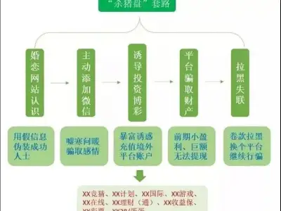 “杀猪盘”、“杀鸟盘”、“杀鱼盘”……骗局全揭秘！