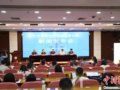 近三年杭州审理电信网络诈骗案800余件 境外诈骗活跃