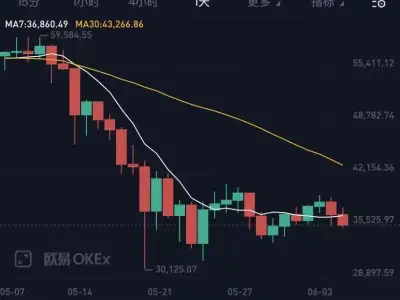 暴富梦碎：比特币等虚拟币成“绞肉机”！