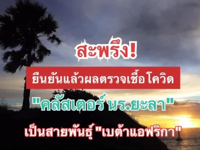 泰国普吉首次发现Beta变种新冠病毒感染者