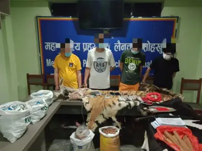 4名中国人因赌博、携带野生动物制品在泰米尔被抓