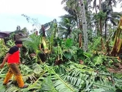 台风“乔丽娜”致3死31失踪 菲律宾农业损失近3亿比索