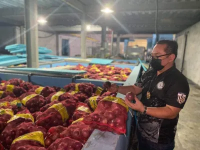 菲律宾海关局查获5000万披索非法走私进口货物