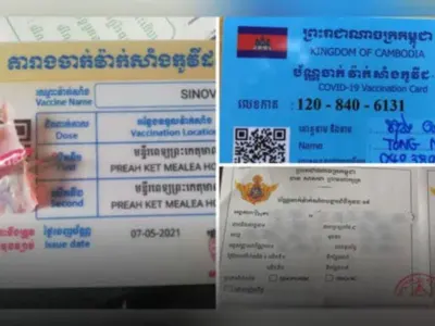 金边出台疫苗卡新措施，众多商家有话要说！